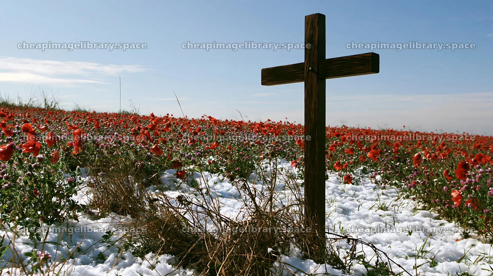 Wooden Christian cross in a Christmas meadow with poppies – image library 10608x5938