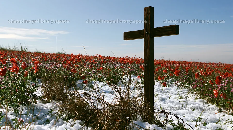 Wooden Christian cross in a Christmas meadow with poppies – image library 10608x5938