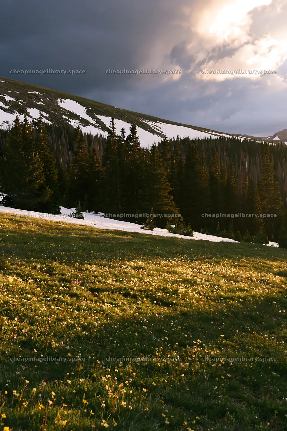Snowy Rocky Mountain Park meadow with trees and clouds – image library 6480x9722