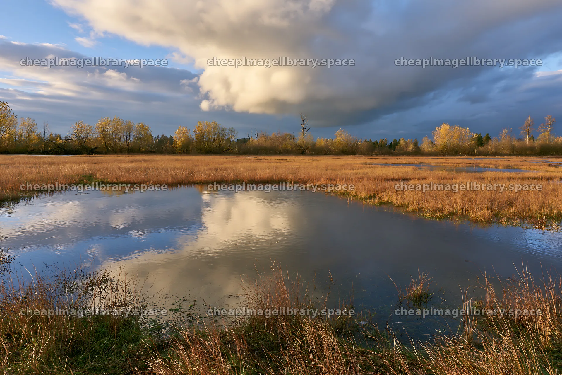 Autumn meadow with water reflections and cloudy sky – image library 9722x6480