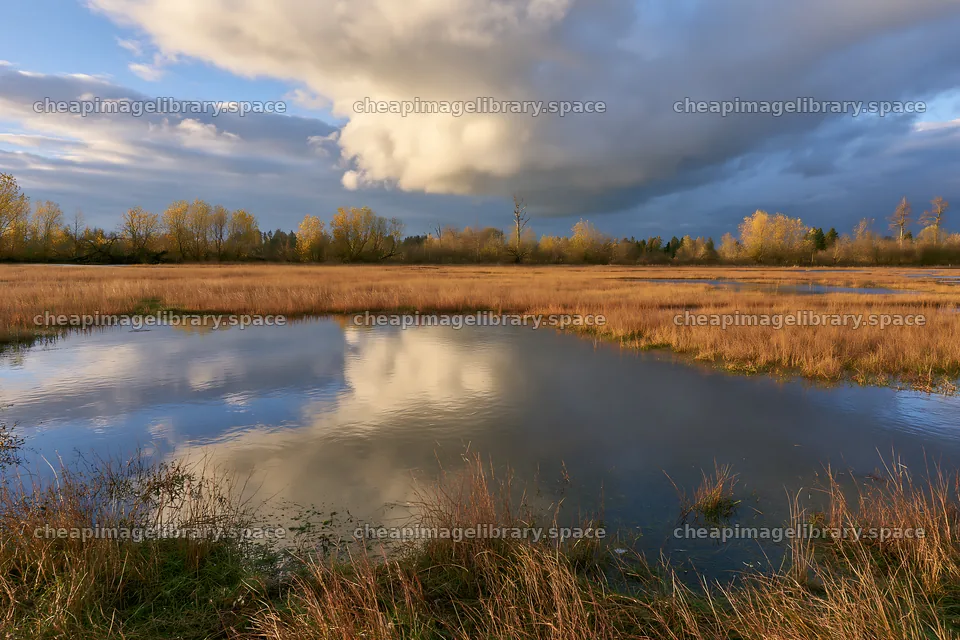 Autumn meadow with water reflections and cloudy sky – image library 9722x6480