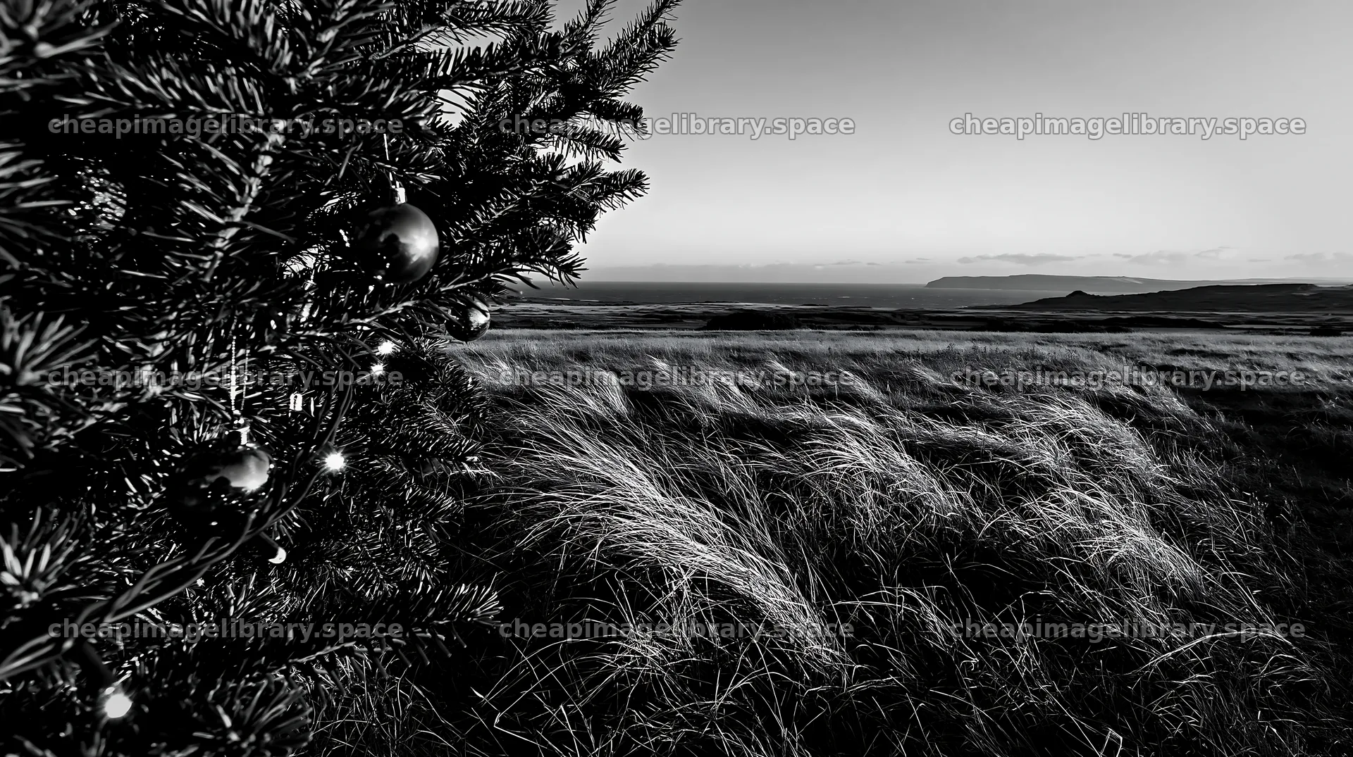 Expansive Christmas meadow in autumn with baubles and grass – image library 10608x5938