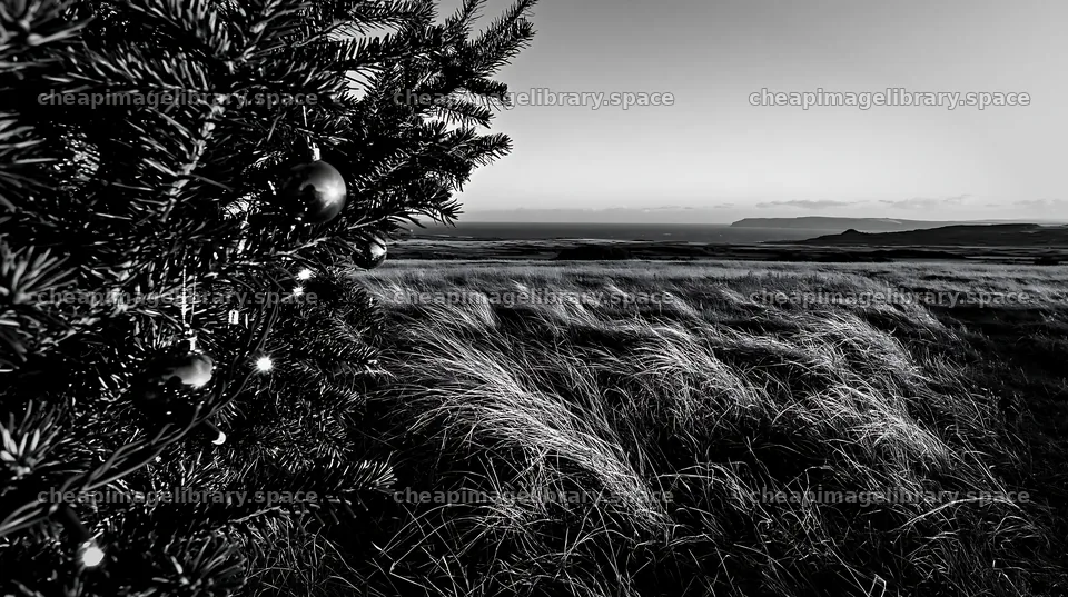 Expansive Christmas meadow in autumn with baubles and grass – image library 10608x5938