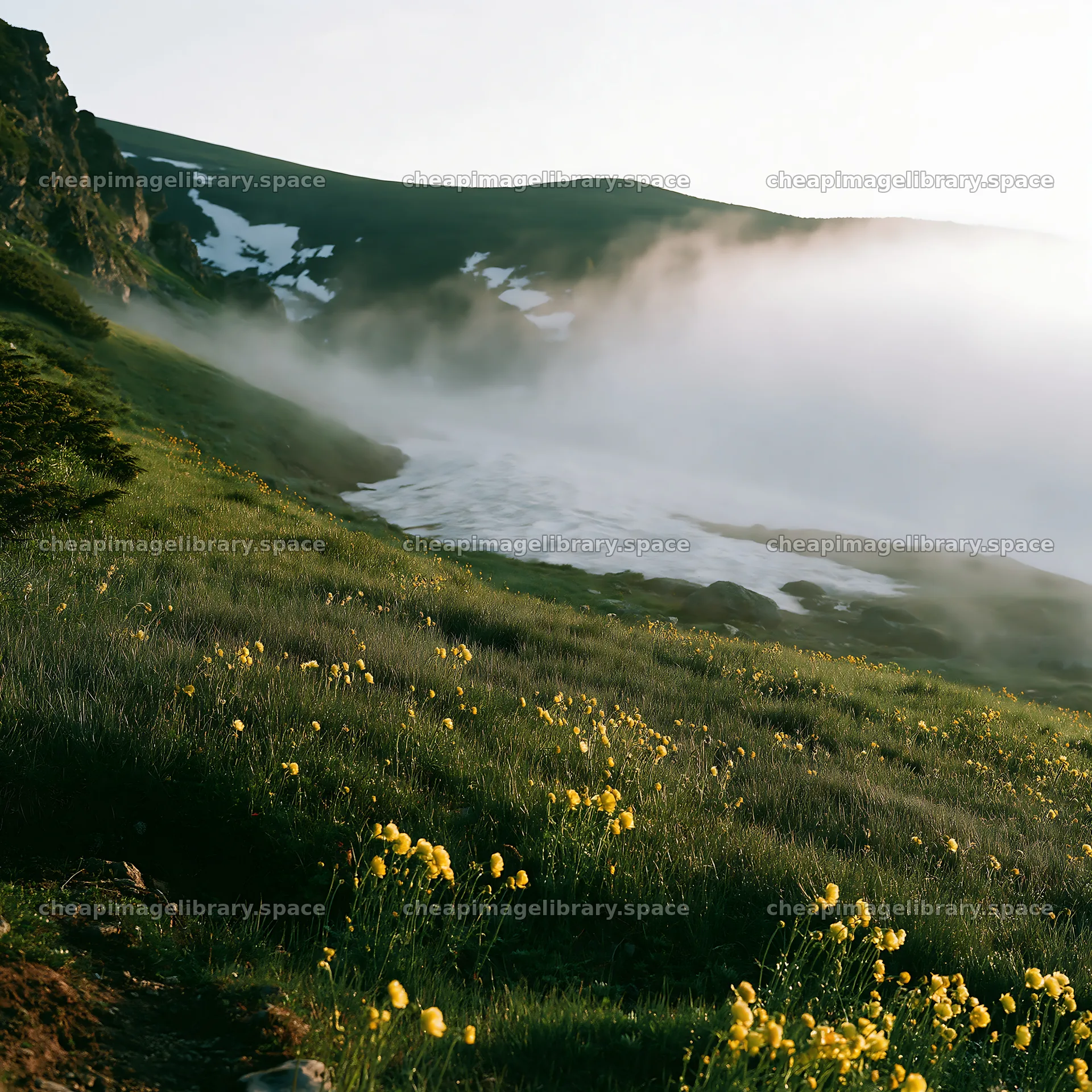 Snowline meadow with flowers in misty landscape – image library 7938x7938