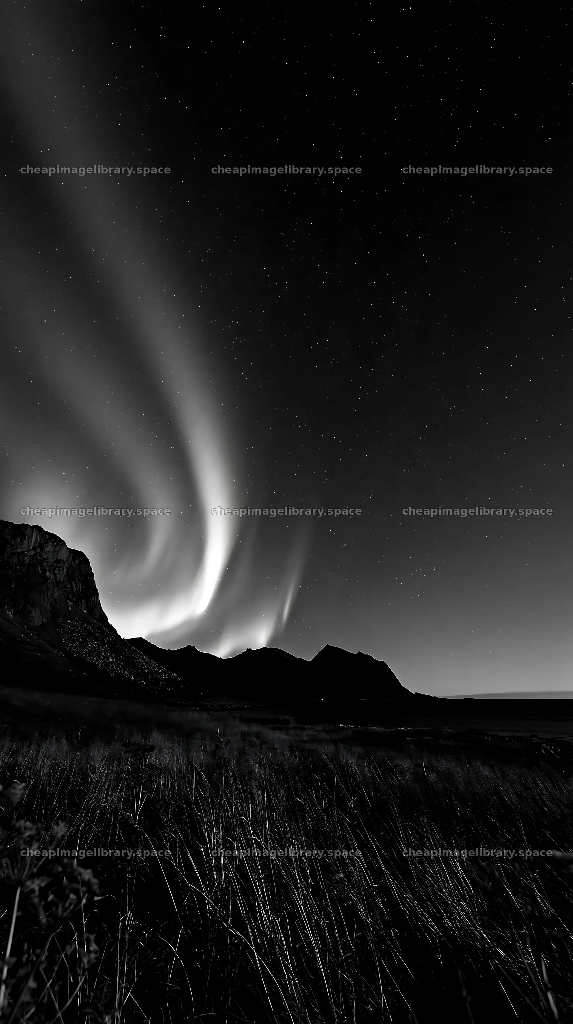Fjord meadow with auroras in the night sky – image library 5938x10608