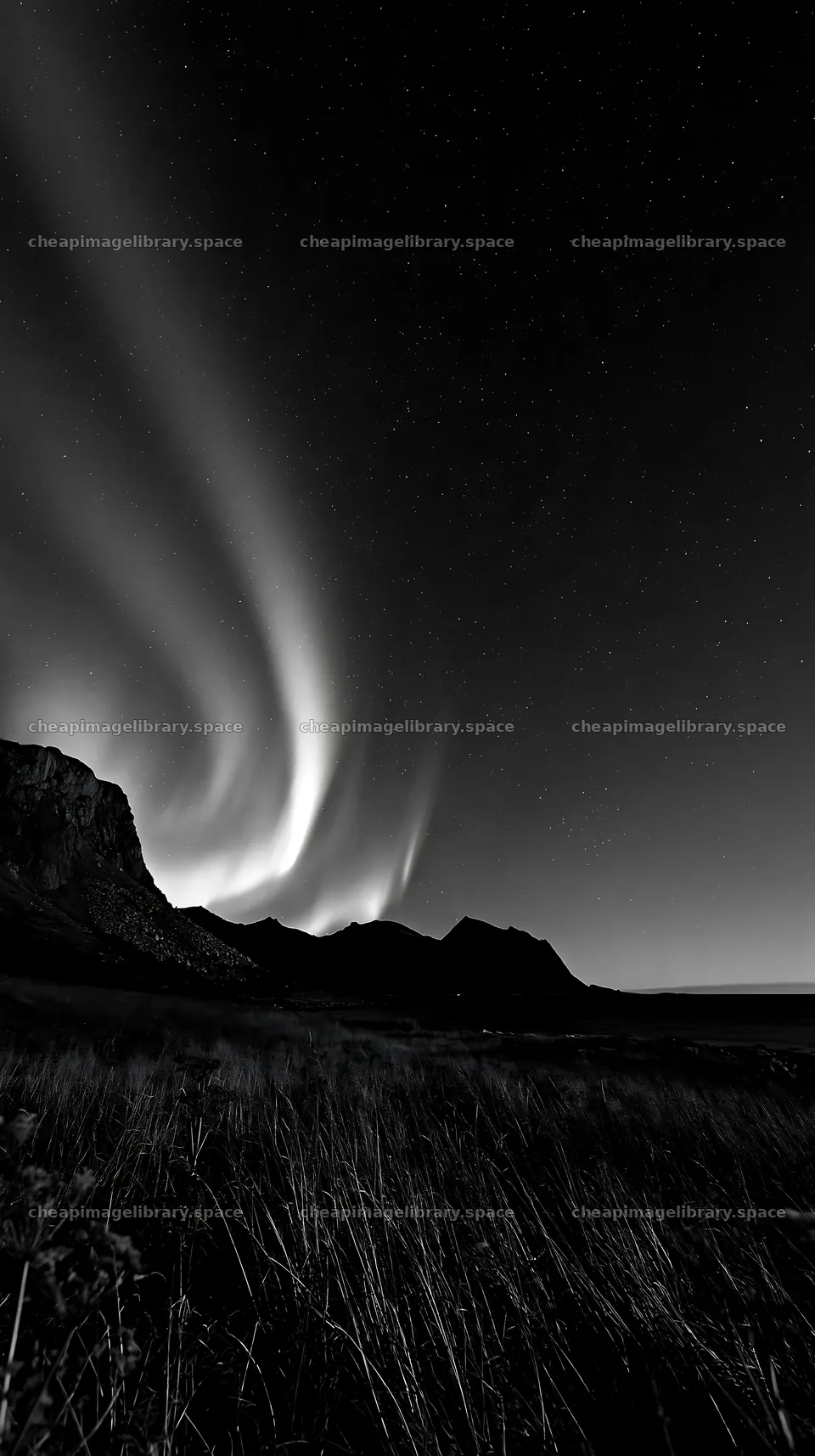 Fjord meadow with auroras in the night sky – image library 5938x10608