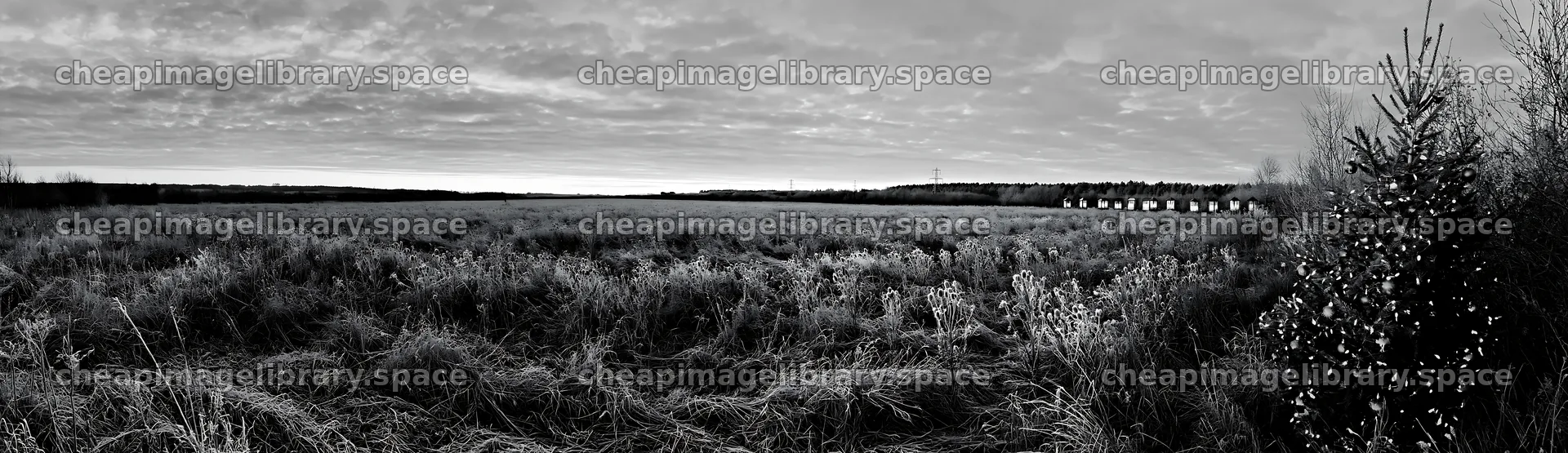 Frosty meadow with seedheads and lanterns during winter season – image library 14762x4268