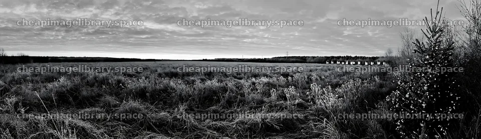 Frosty meadow with seedheads and lanterns during winter season – image library 14762x4268