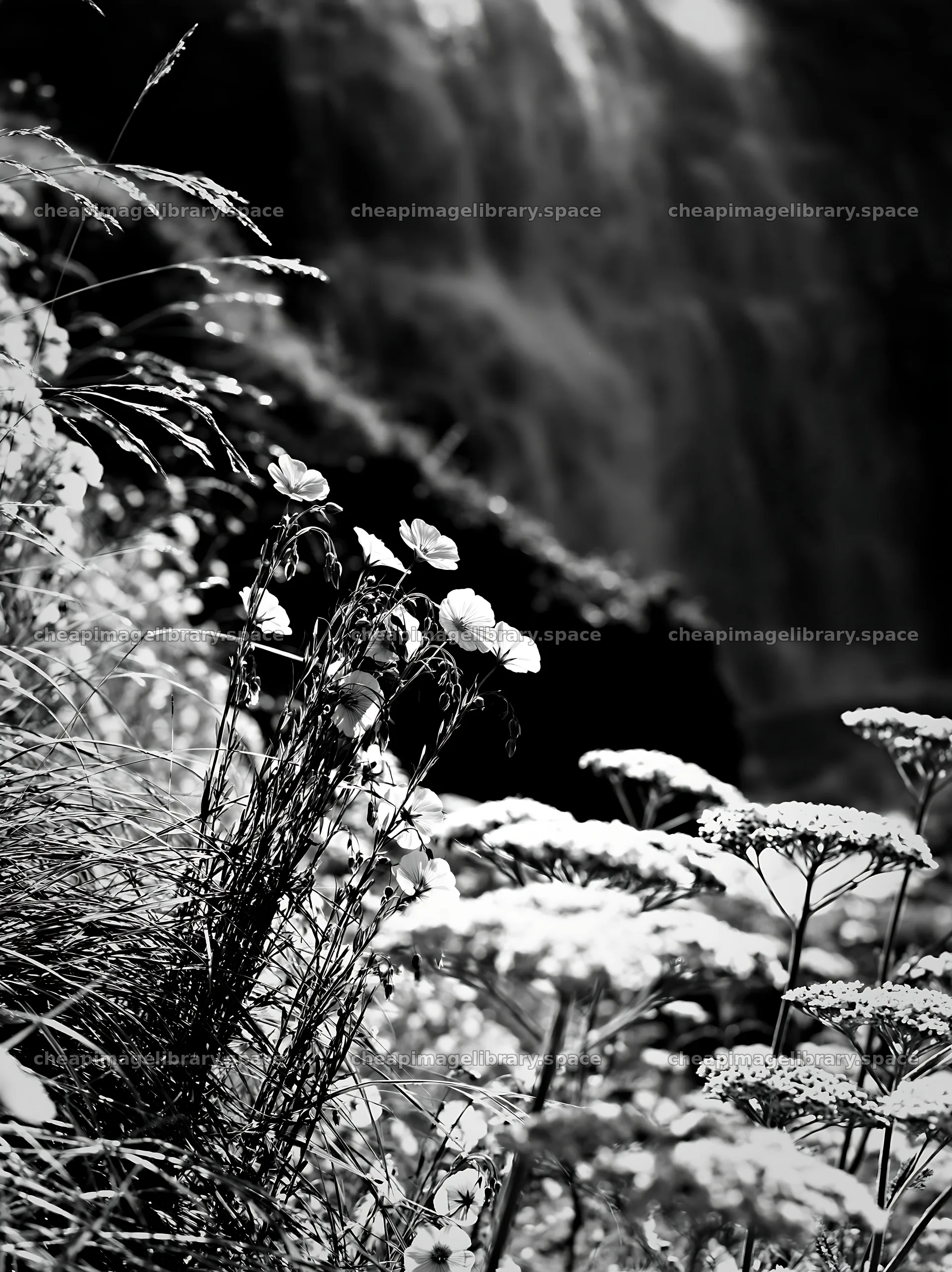 Wildflowers near waterfall in summer meadow – image library 6866x9174