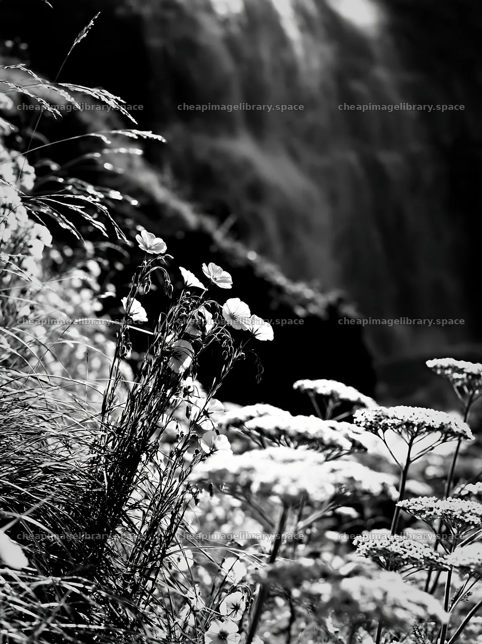 Wildflowers near waterfall in summer meadow – image library 6866x9174