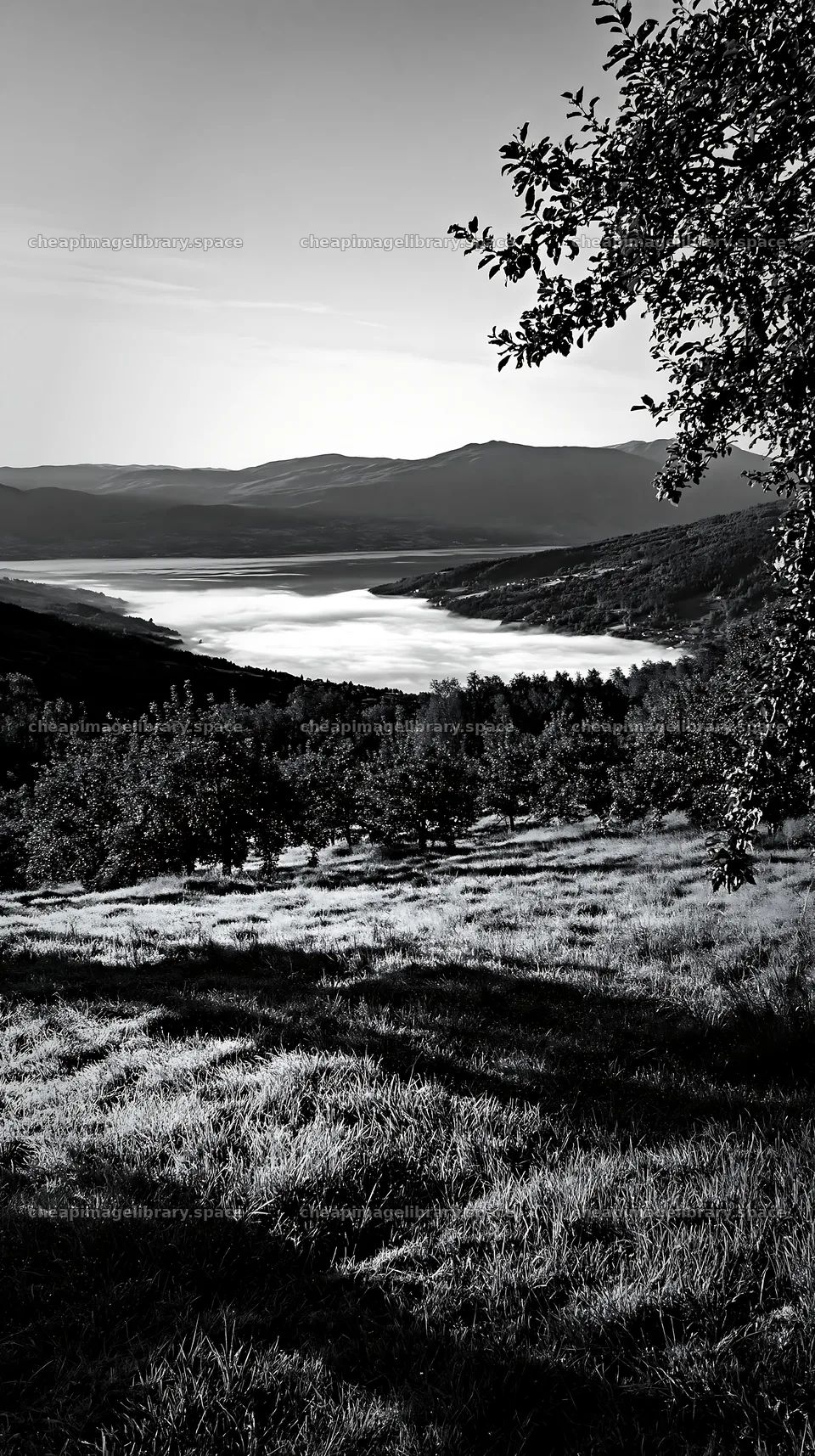Fjord orchard meadow view with lake and mountains in black and white – image library 5938x10608