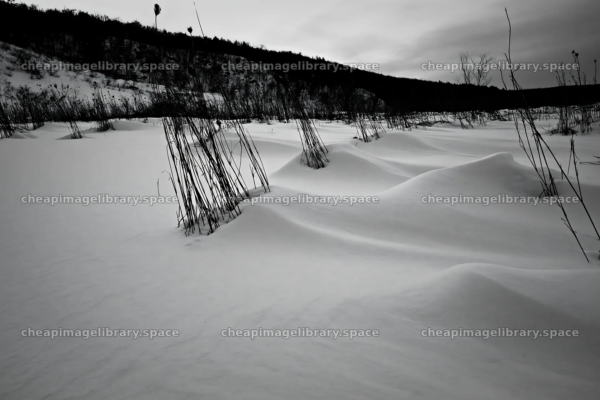 Snowy landscape with sparse vegetation in a highland meadow – image library 9722x6480