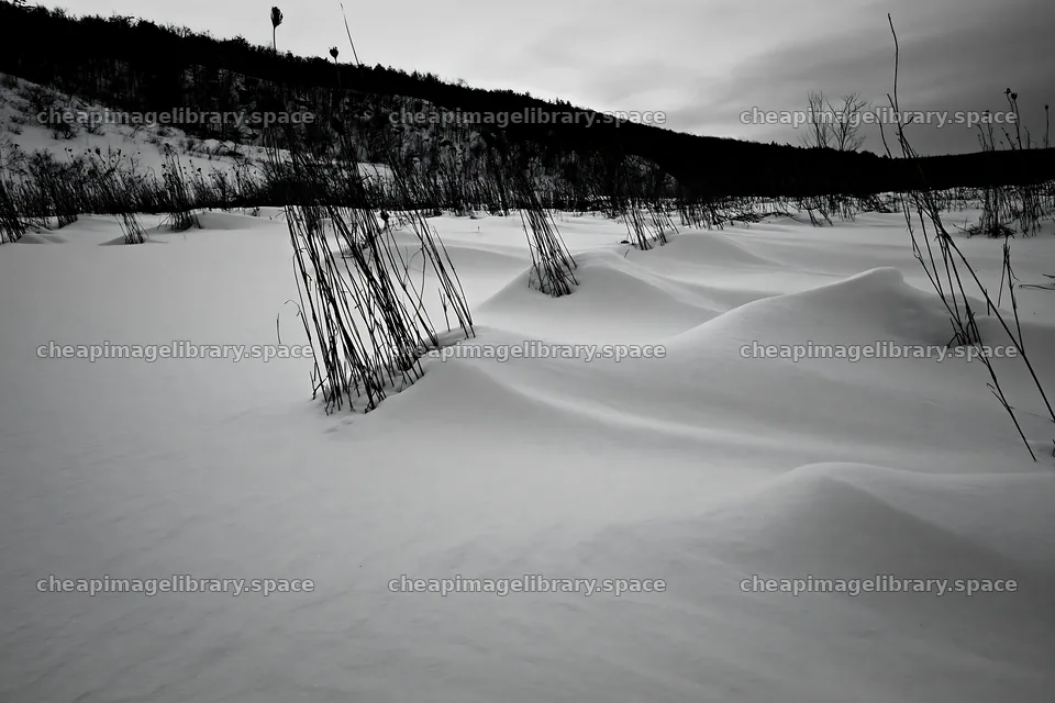 Snowy landscape with sparse vegetation in a highland meadow – image library 9722x6480