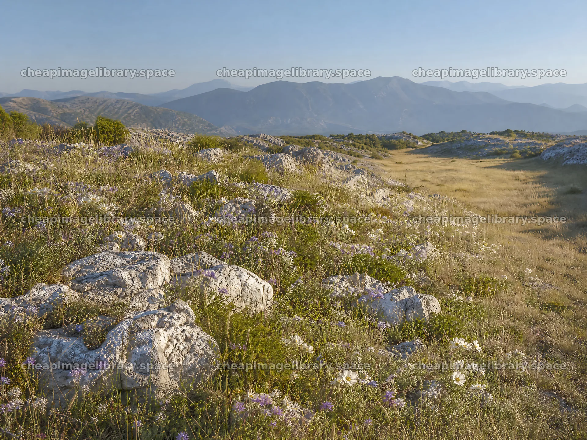 Sunny limestone meadow with distant mountains in the background – image library 9166x6874