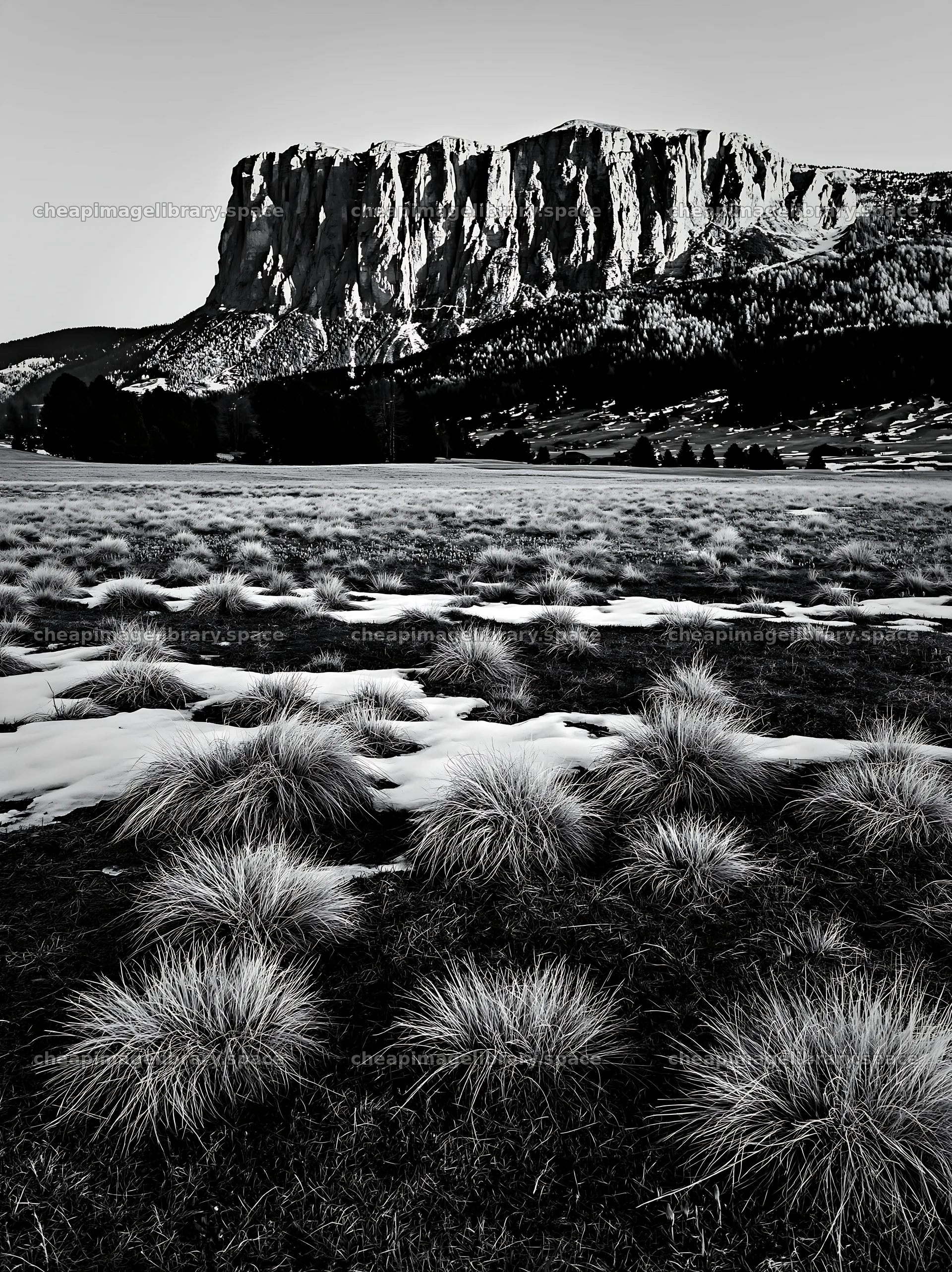 Sunbeams over Alpe di Siusi meadow and mountain landscape – image library 6866x9174