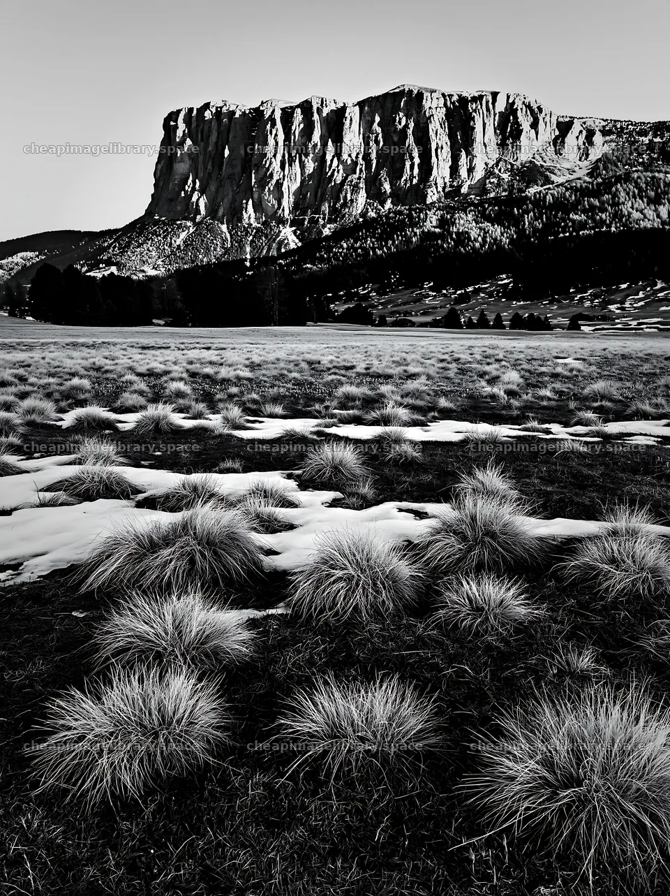 Sunbeams over Alpe di Siusi meadow and mountain landscape – image library 6866x9174