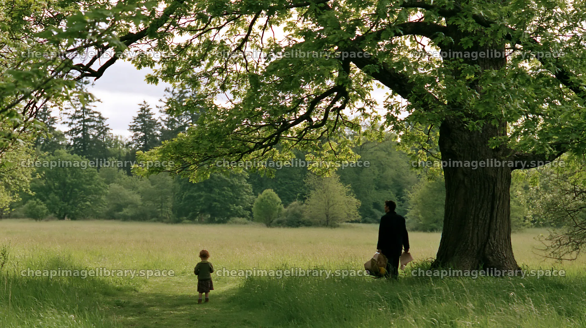 Child and adult walk in a meadow under a large tree – image library 10608x5938