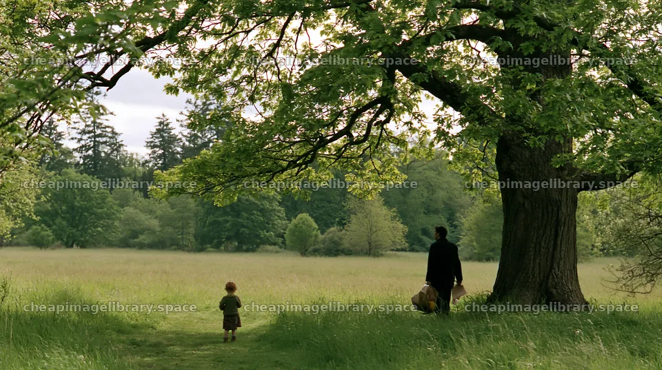 Child and adult walk in a meadow under a large tree – image library 10608x5938