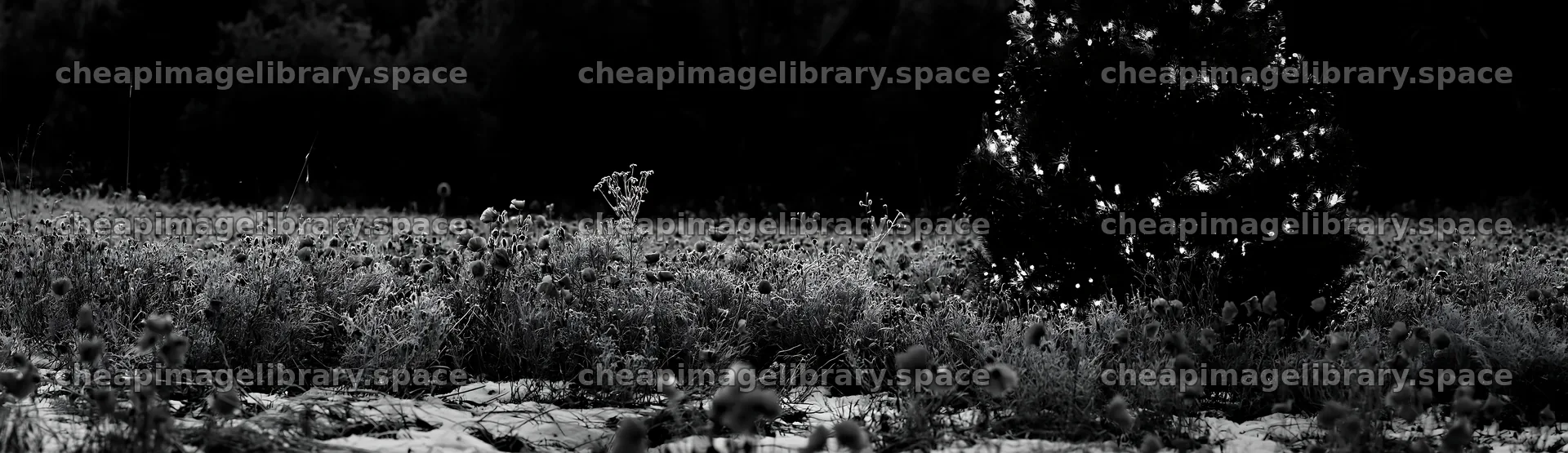 Decorated Christmas tree with lights in snowy meadow – image library 14762x4268