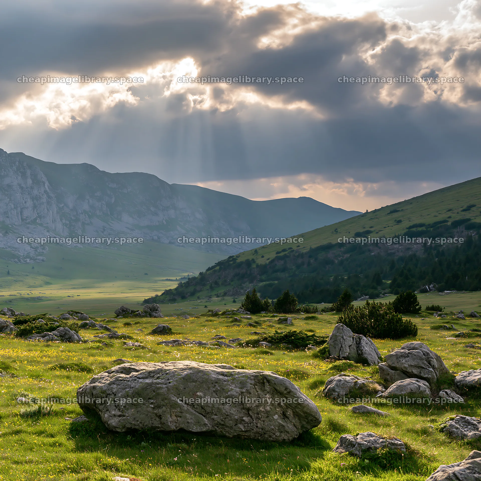Bucegi Mountains meadow light rays create stunning landscape view – image library 7938x7938