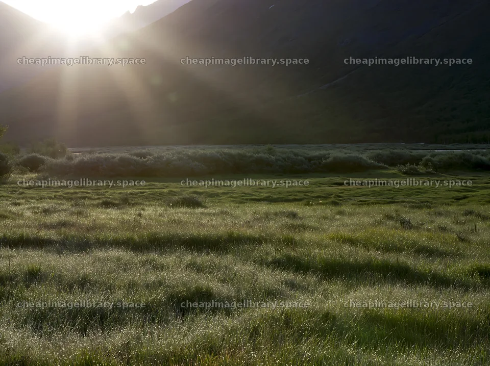 Sunbeams shining over Jotunheimen valley meadow – image library 9174x6866