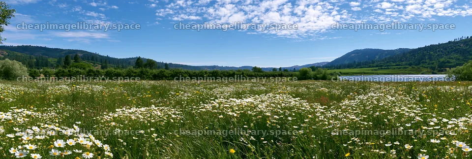 Lakeside orchard meadow with wildflowers and distant hills – image library 13690x4602
