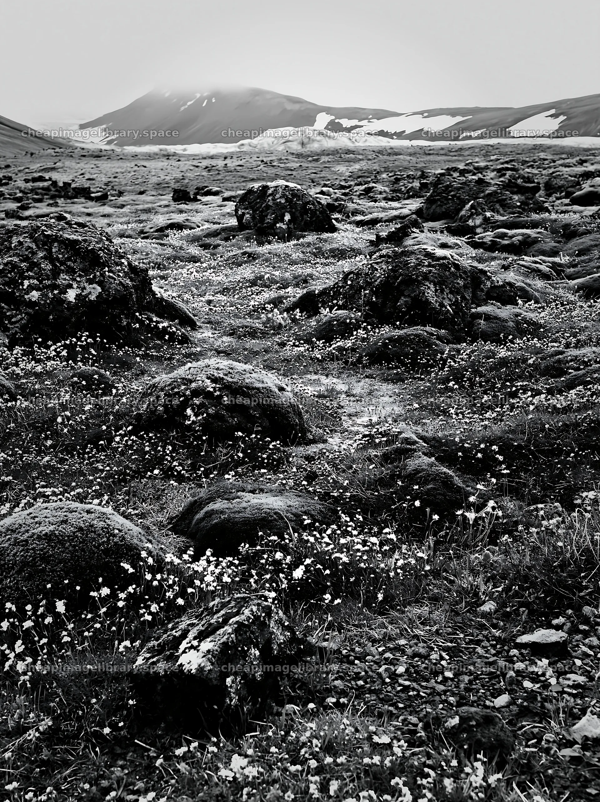Meadow with boulders in a mountain landscape – image library 6866x9174