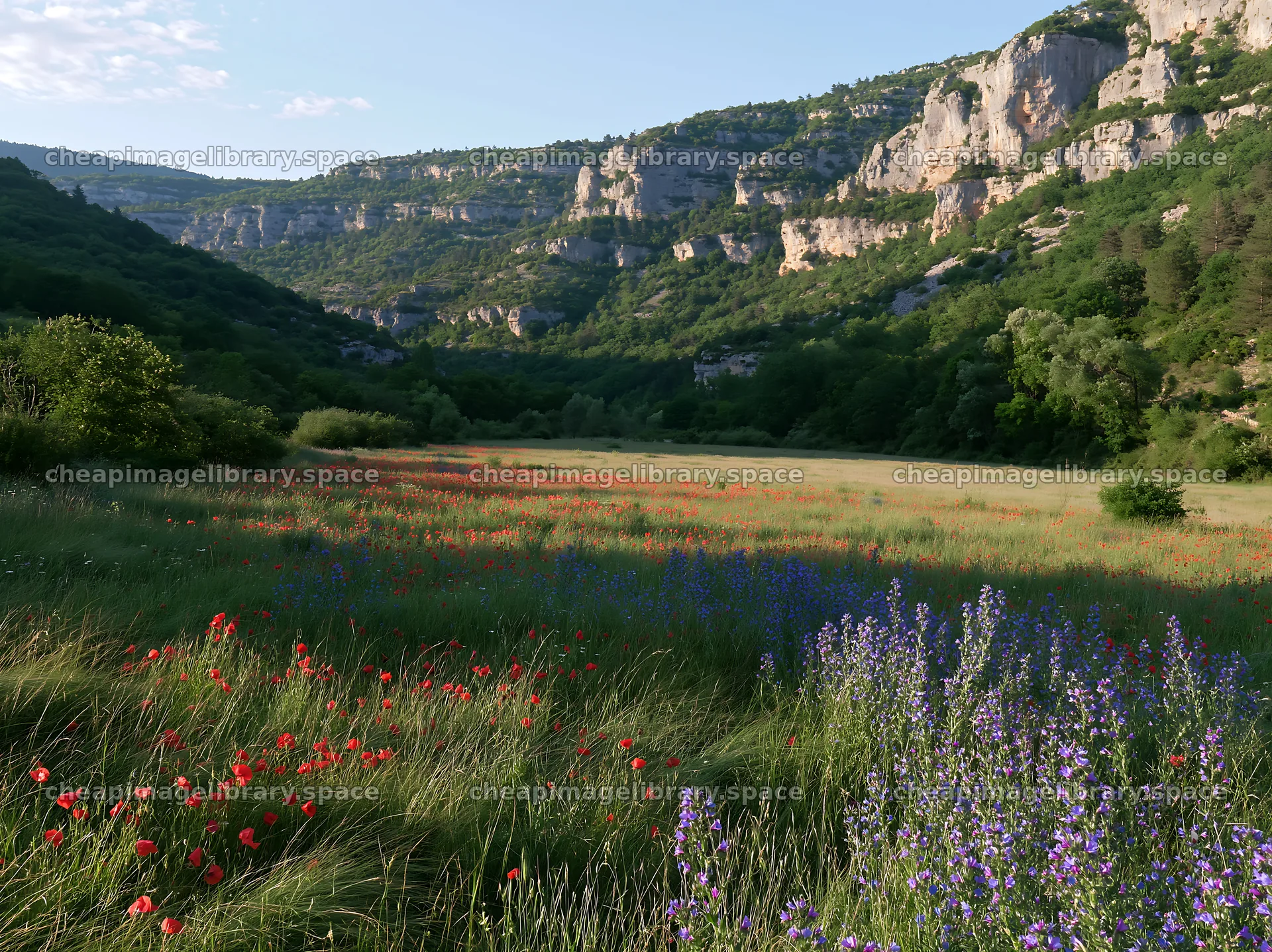 Poppy larkspur meadow in a valley surrounded by cliffs – image library 9174x6866
