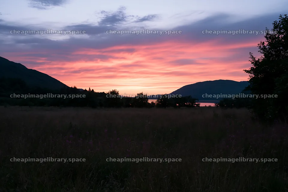 Highland apple meadow at sunset with mountains and trees – image library 9722x6480