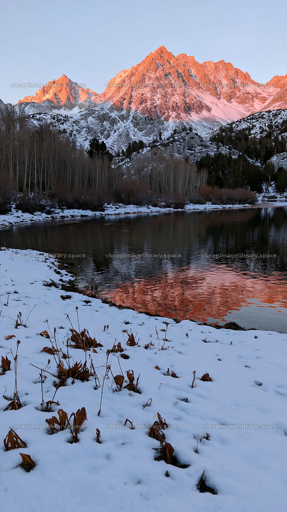 Lakeside meadow after first snowfall with mountains in background – image library 5938x10608