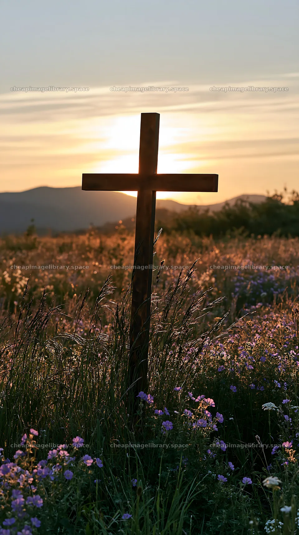 Christian cross in backlit summer meadow at sunset – image library 5938x10608