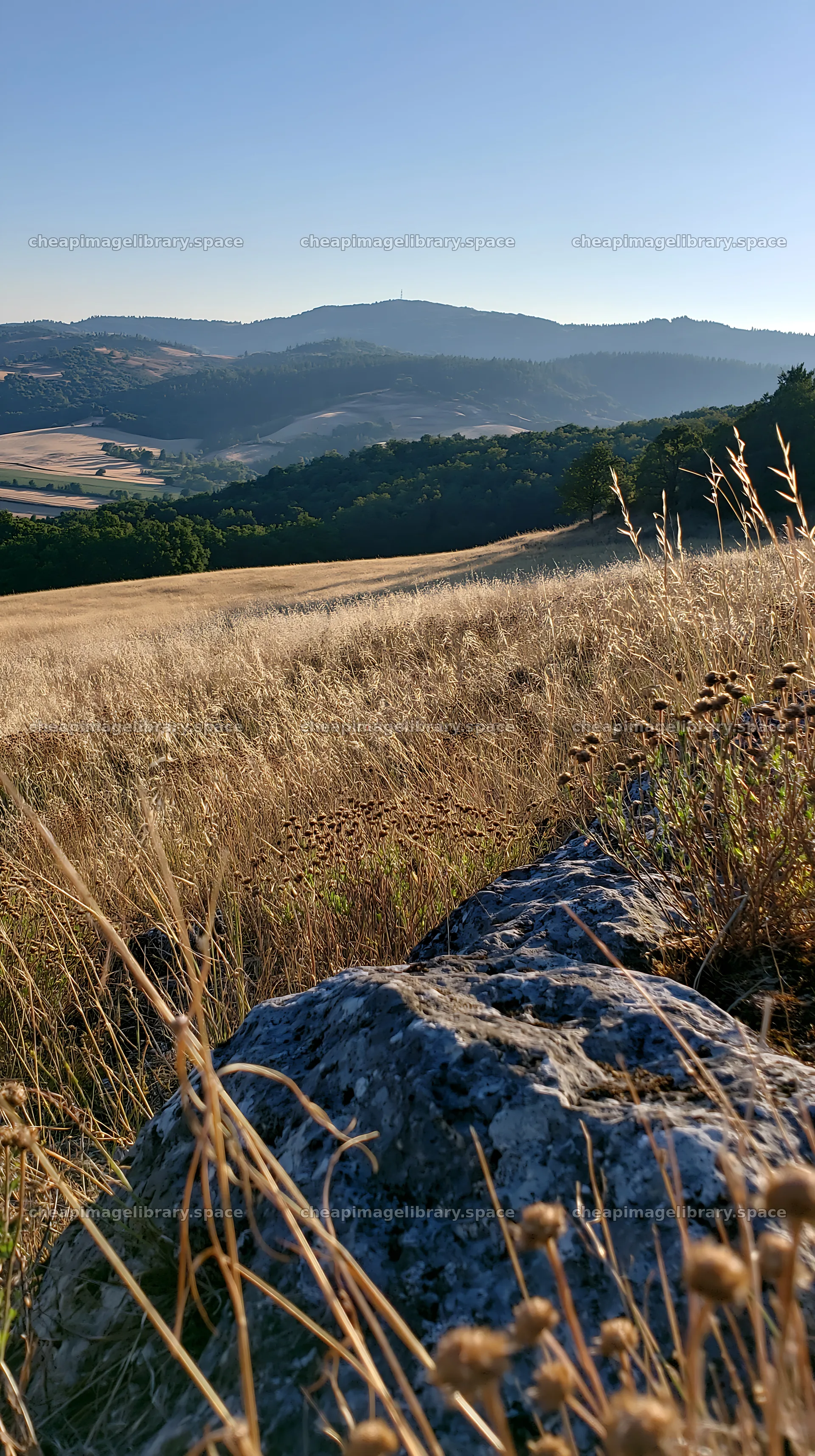 Sunny dry meadow with distant hills in clear weather – image library 5938x10608