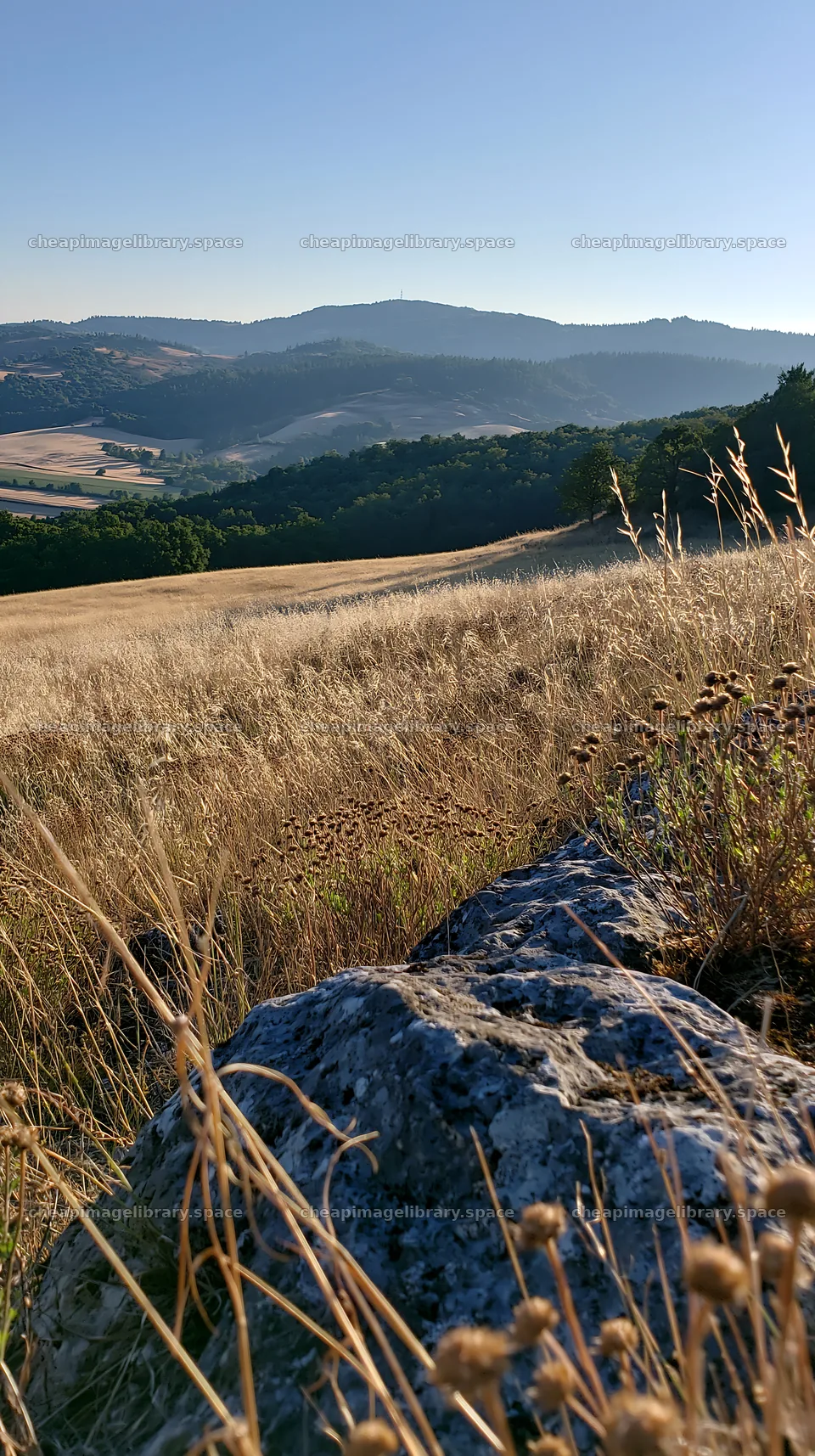 Sunny dry meadow with distant hills in clear weather – image library 5938x10608