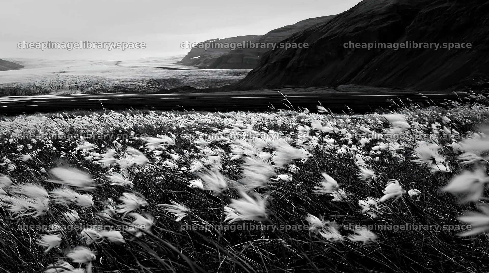 Meadow with seedheads against a mountain backdrop – image library 10608x5938