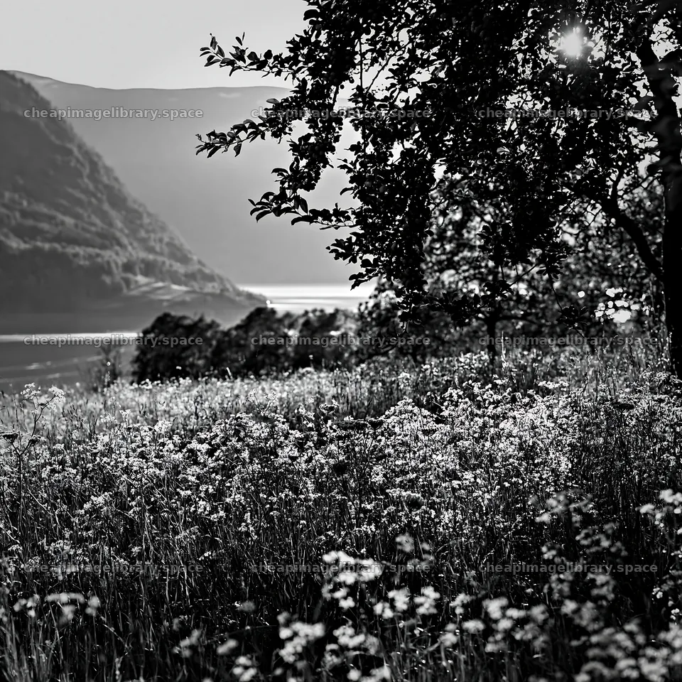 Fjord orchard meadow with flowering plants and mountains – image library 7938x7938