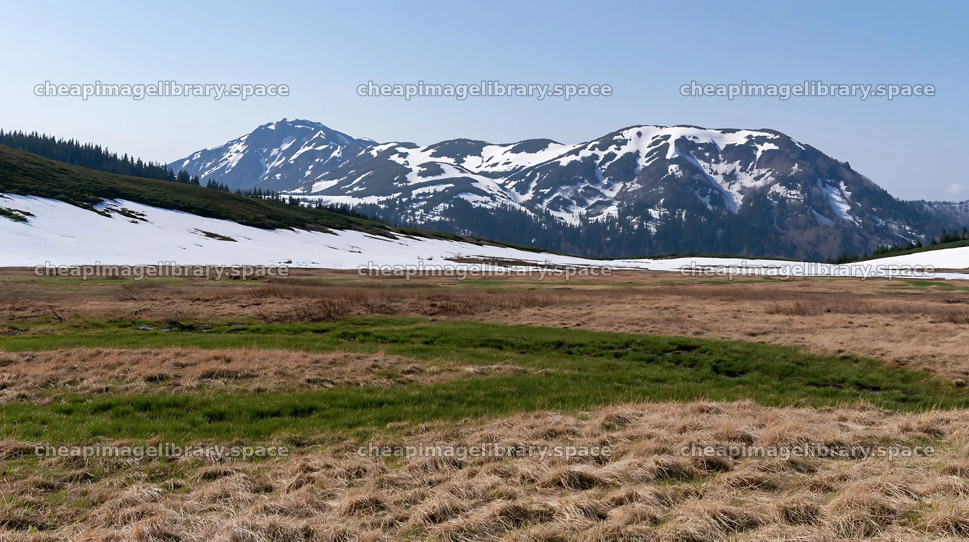 Akita snowmelt meadow with silver grasses under blue sky – image library 10608x5938