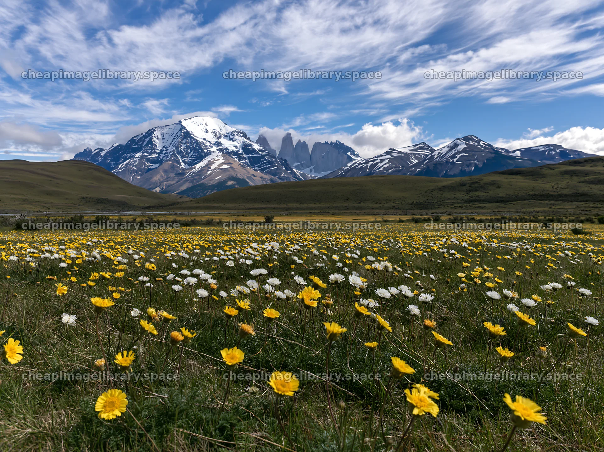 Meadow filled with flowers and mountains in the background – image library 9174x6866