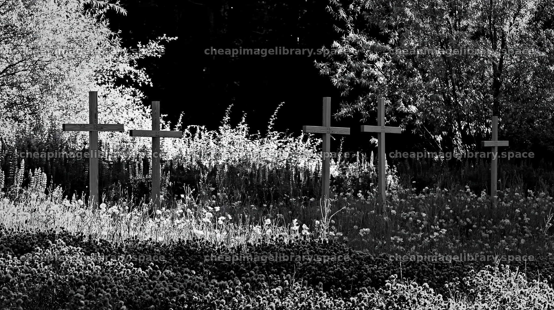 Wooden crosses in a meadow during Christmas season – image library 10608x5938