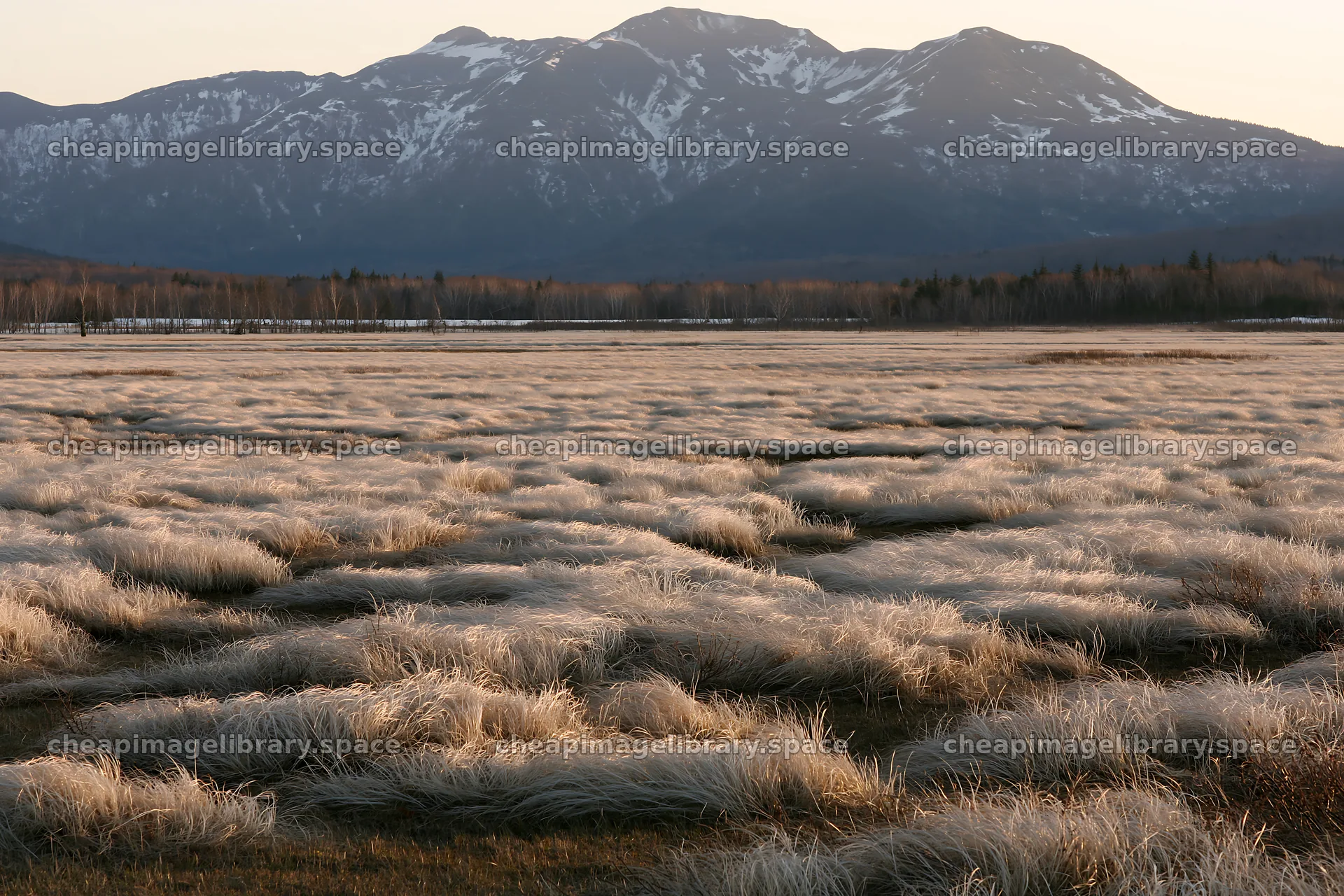 Akita snowmelt meadow with silver grasses and distant mountains – image library 9722x6480