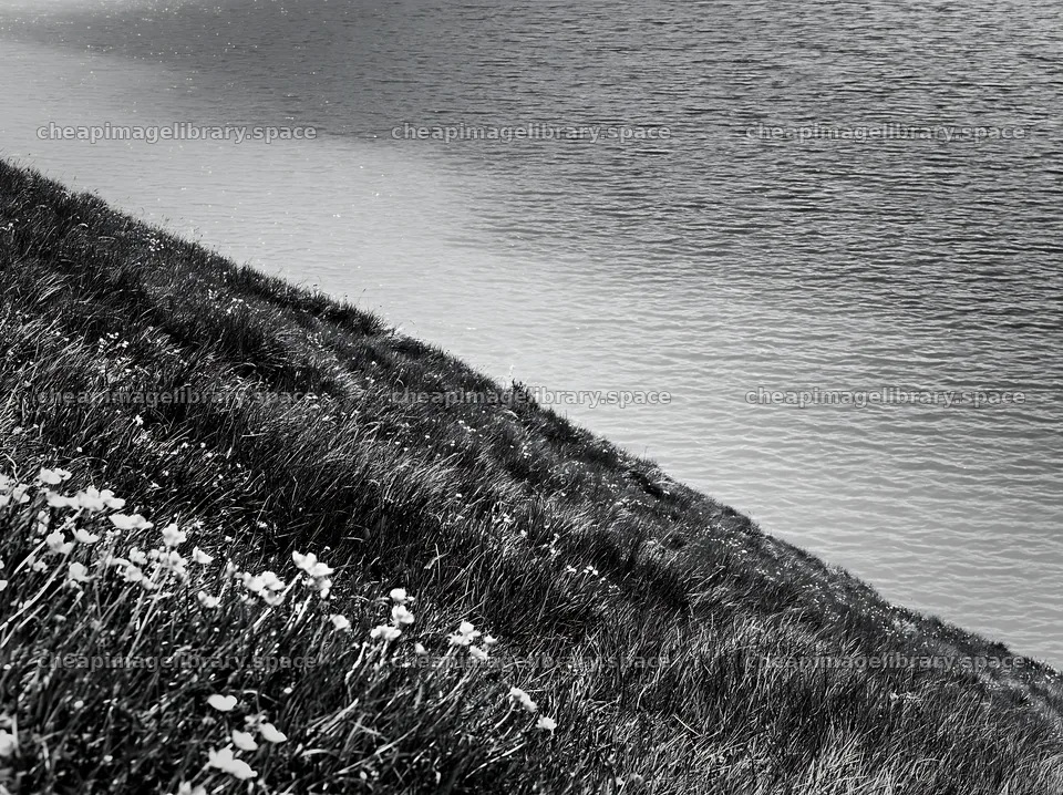 Swiss meadow beside alpine lake with flowers and water – image library 9174x6866