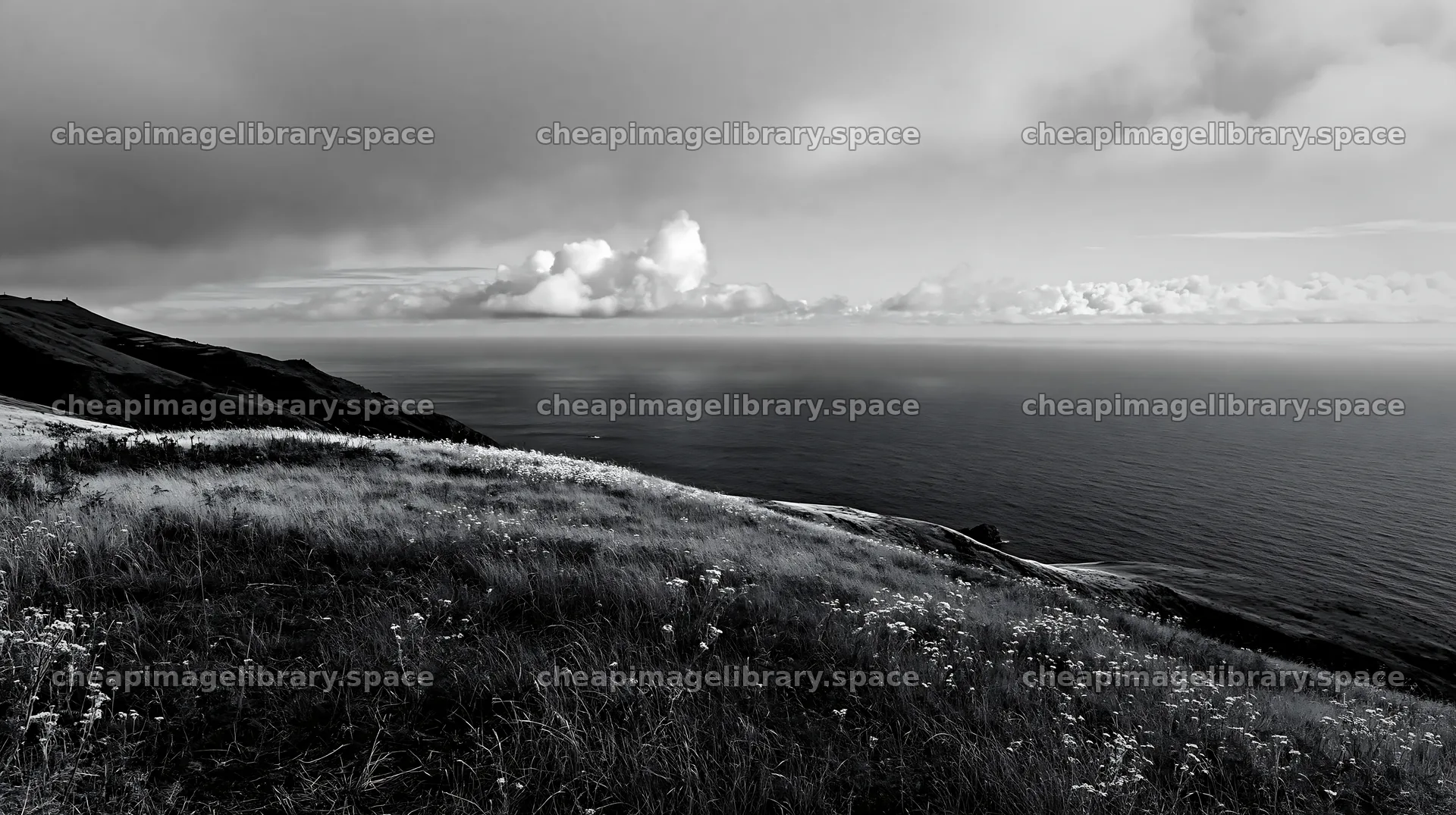 Meadow above Atlantic coast with clouds and ocean view – image library 10608x5938