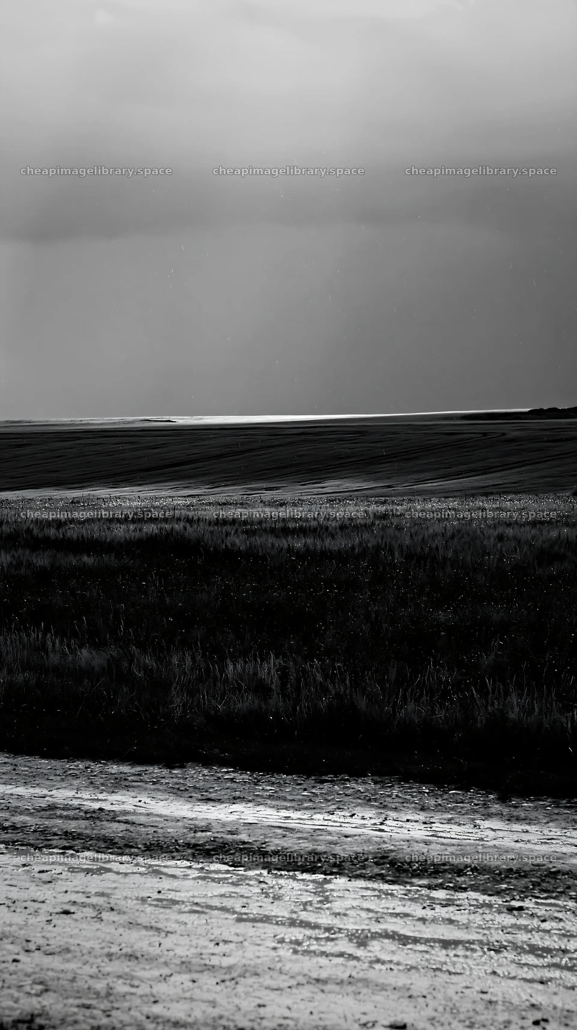 Rainwashed meadow under overcast sky – image library 5938x10608