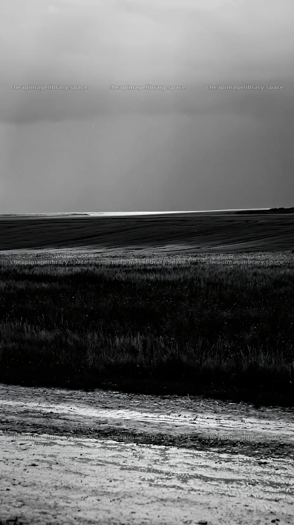 Rainwashed meadow under overcast sky – image library 5938x10608