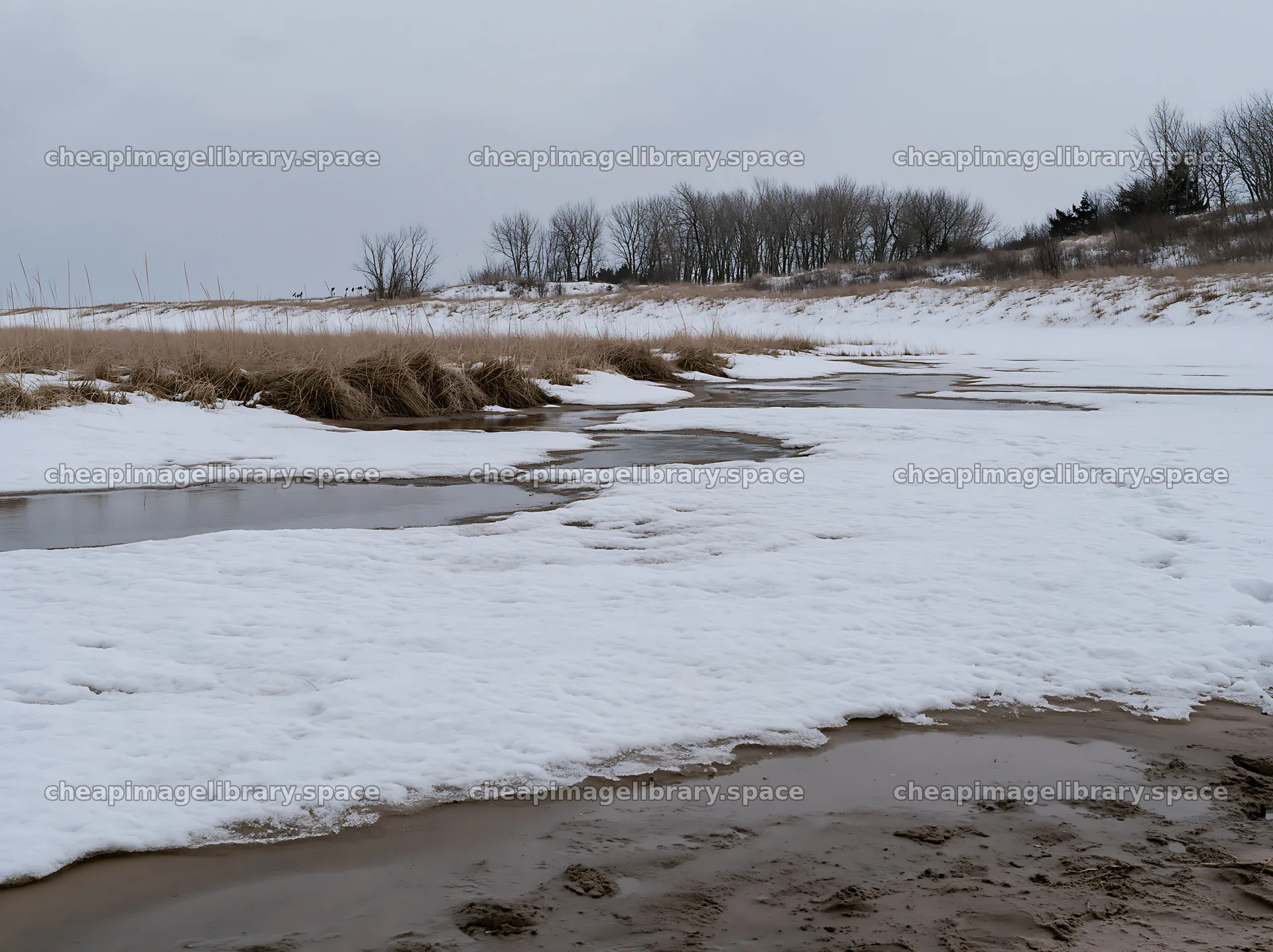 Dune meadow covered with snow near a water flow – image library 9174x6866