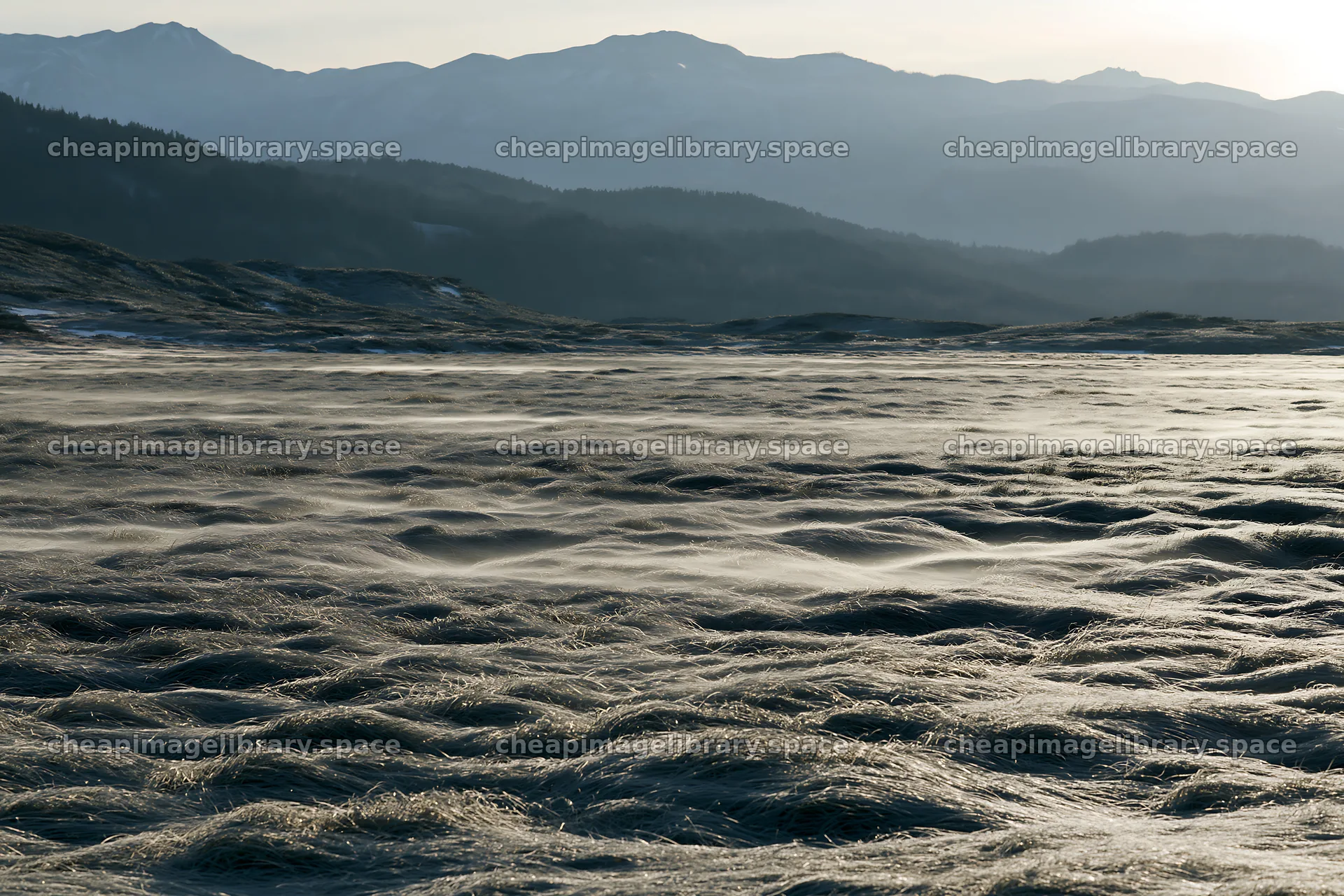 Akita snowmelt meadow with silver grasses under cloudy skies – image library 9722x6480