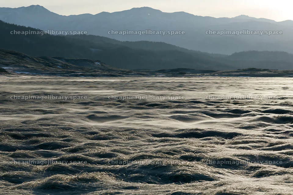 Akita snowmelt meadow with silver grasses under cloudy skies – image library 9722x6480