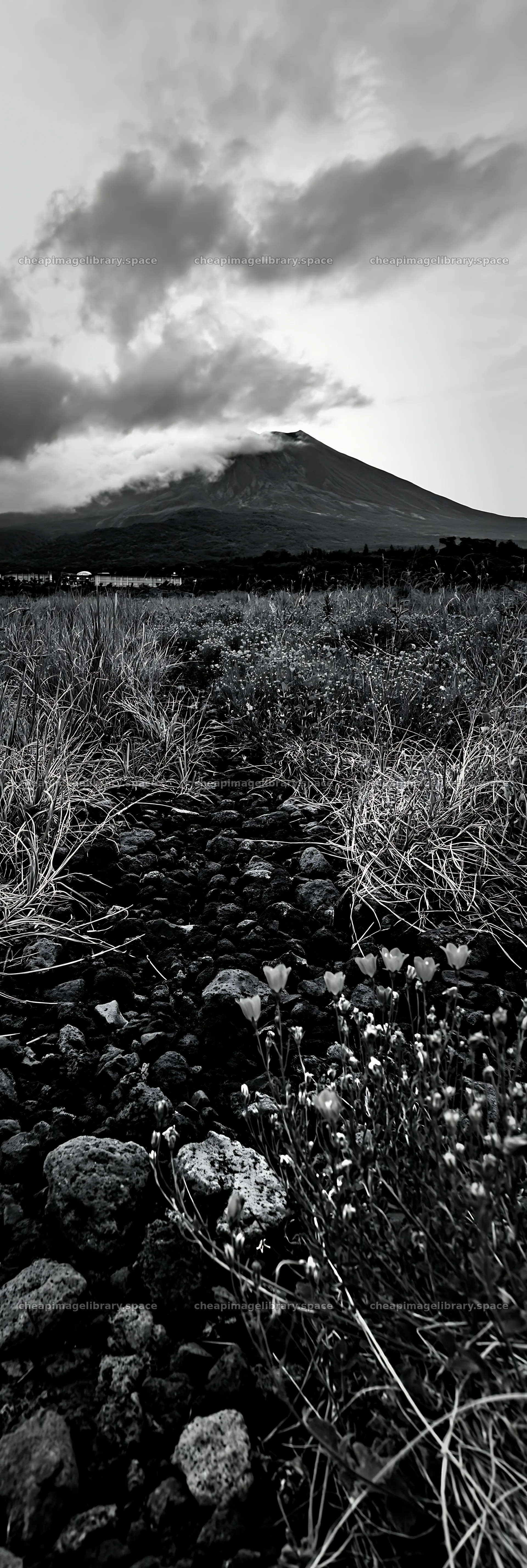 Kagoshima volcanic meadow with pumice foreground – image library 4602x13690