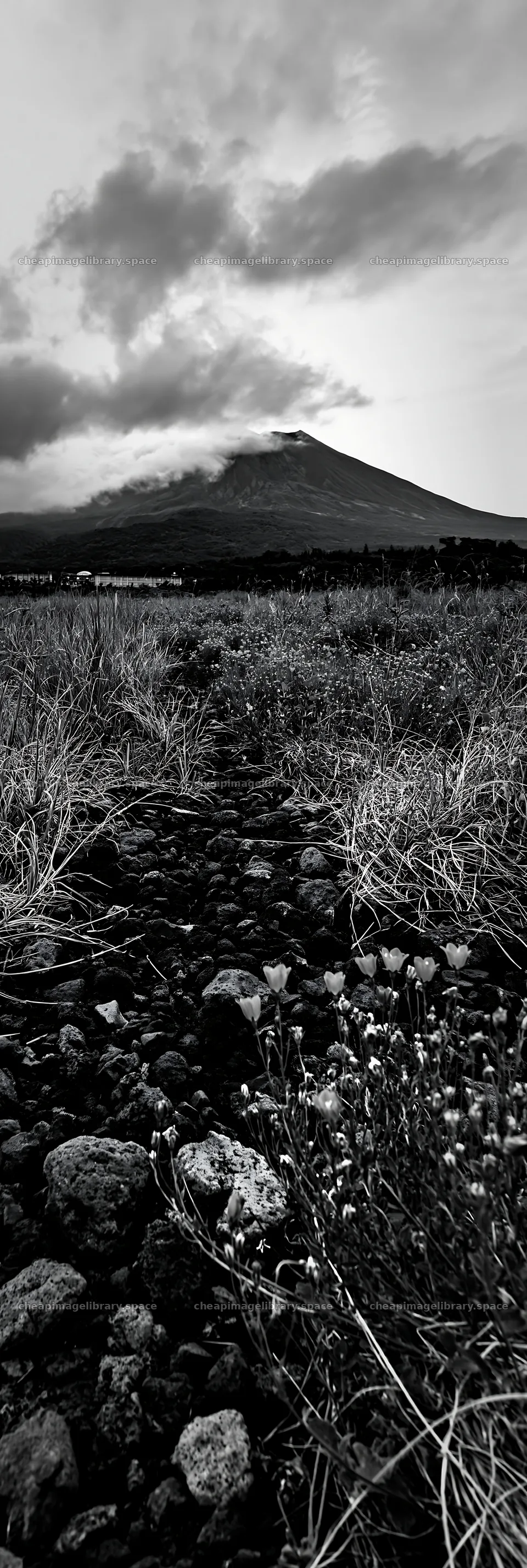 Kagoshima volcanic meadow with pumice foreground – image library 4602x13690