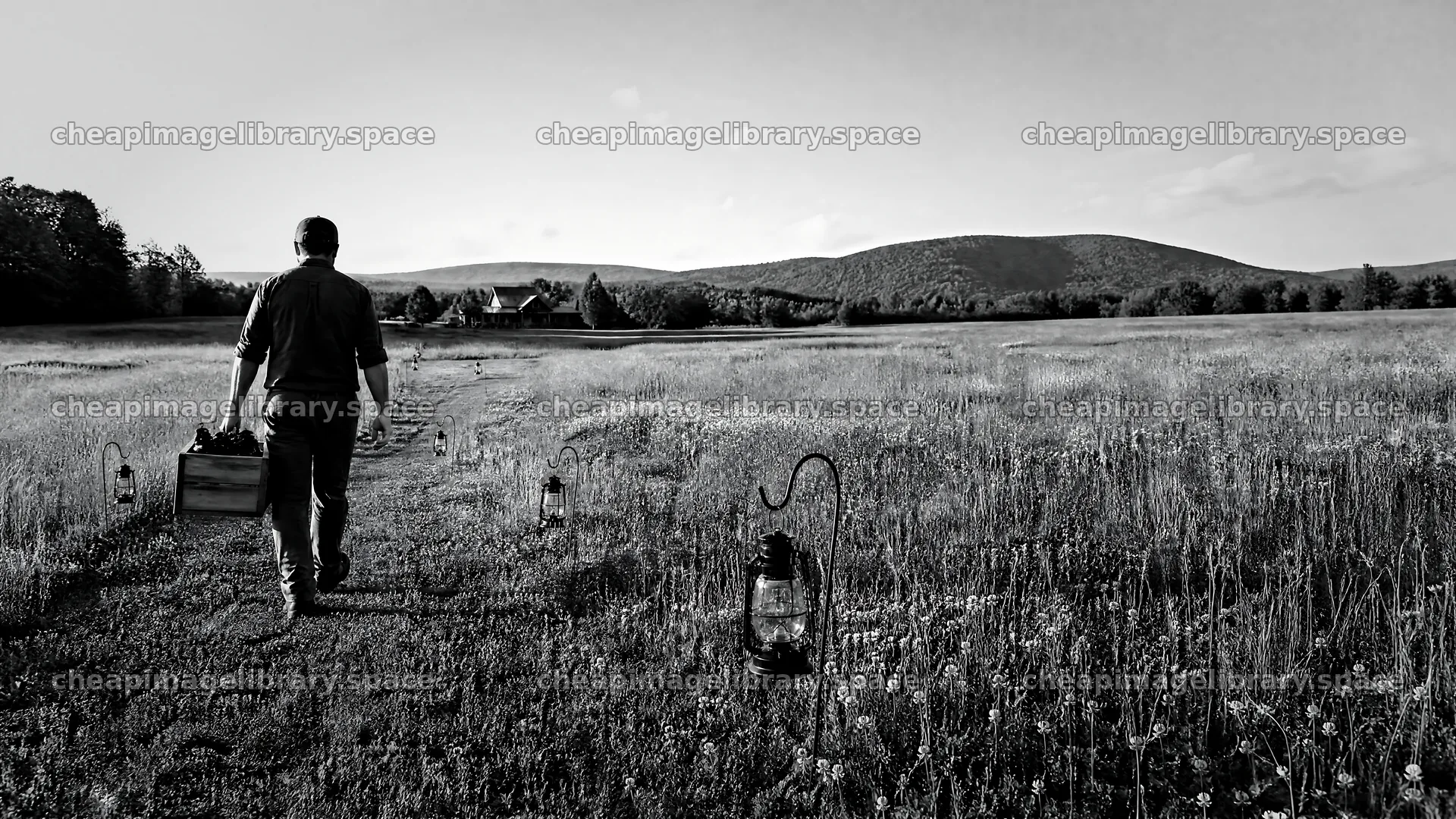 Man walks through meadow with lanterns at dusk – image library 10584x5952