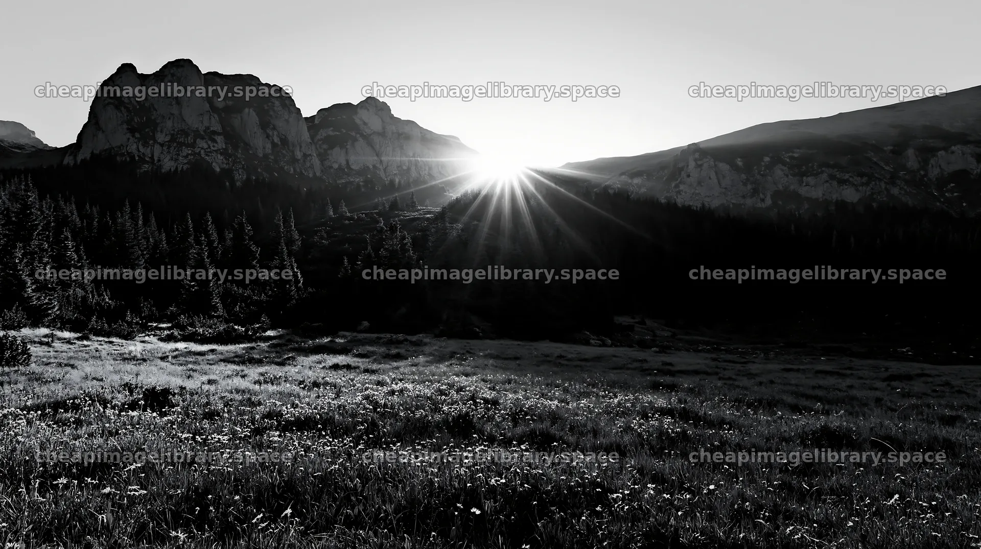 Rays of light over meadow in Bucegi Mountains at sunrise – image library 10608x5938